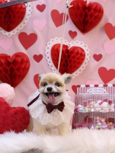 20240202エルくん